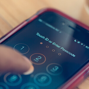 Cell phone bill