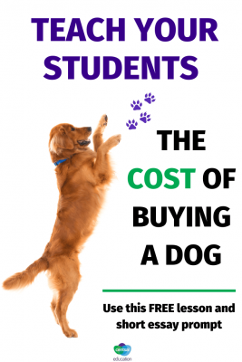 How much is that doggy in the window? And how much is his food? And vet costs? Teach your students the importance of market research, budgeting and more with this free downloadable. #CentSaiEducation #budgetingtips #savingmoney #savemoremoney
